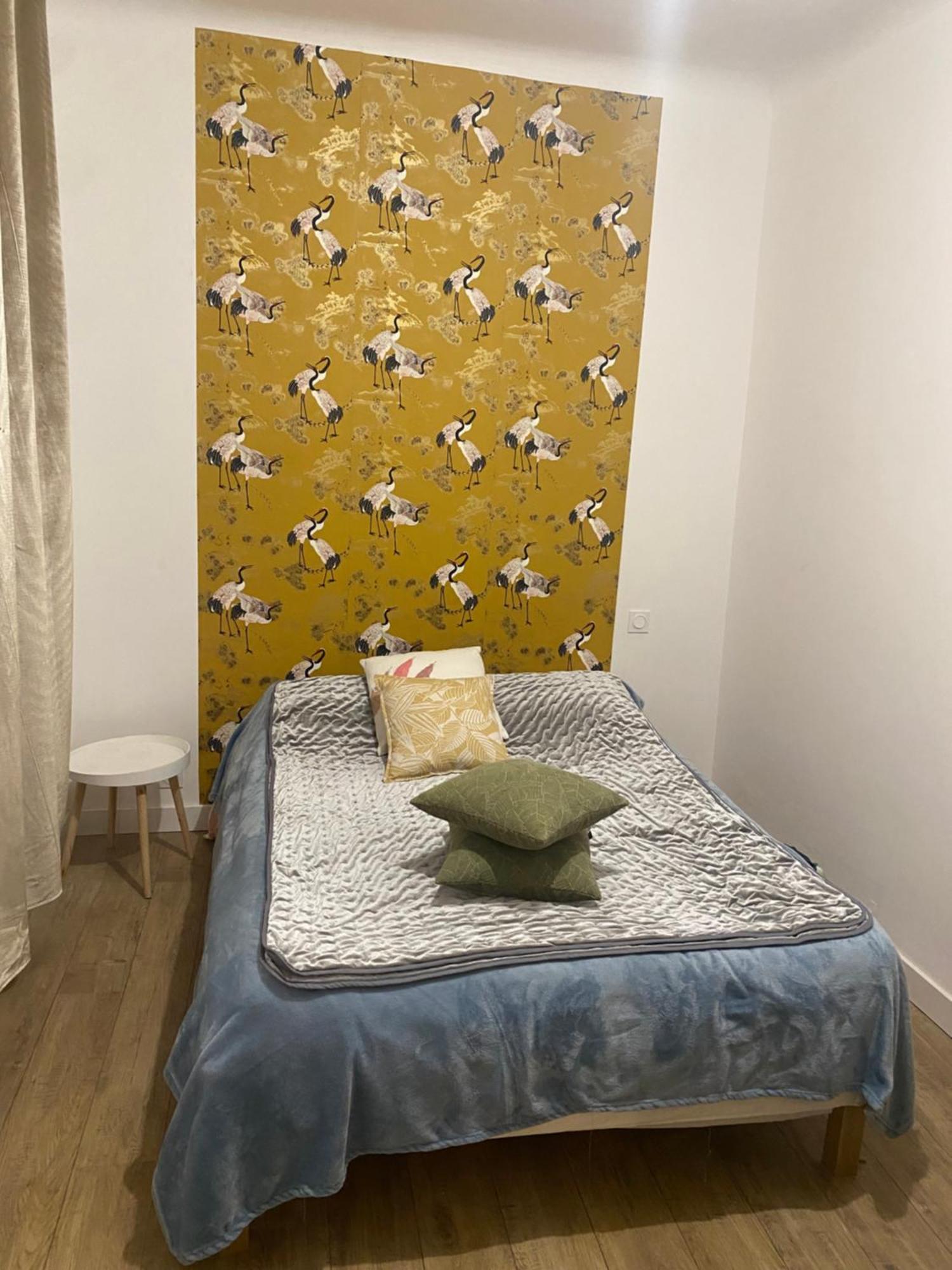 Bel Appartement En Plein Coeur De קרפנטרה מראה חיצוני תמונה